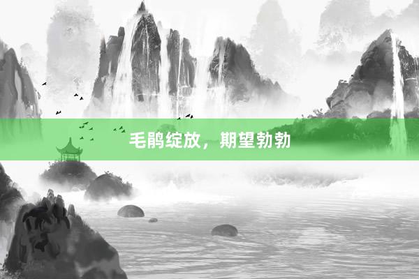 毛鹃绽放，期望勃勃