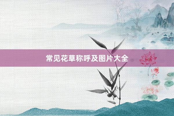常见花草称呼及图片大全
